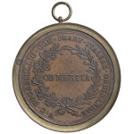Medals - BRESCIA Cisalpine Republic (1797–1802) Medal ...
