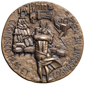 Medals - Paolo VI (1963-1978) Medaglia annuale An. IX Buon ...