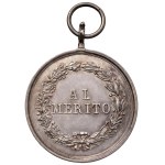 Medals - Umberto I (1878–1900) Medal, undated (1890), for mer...
