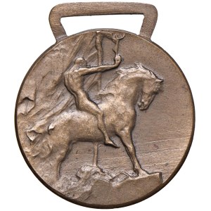 Medals - PRE-FASCIST MEDAL 1919 Medal for Italy or...
