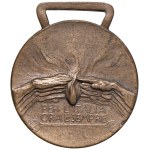 Medals - PRE-FASCIST MEDAL 1919 Medal for Italy or...