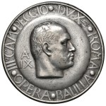Žiūrėti panašius