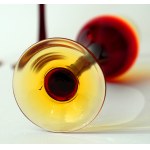 5 Lotos Glasses - HS Sudety - Zbigniew Horbowy