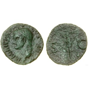 Roman Empire, ace, (37–41), Rome
