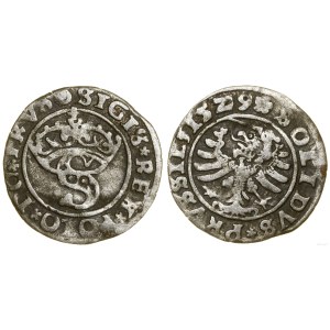 Poland, szeląg, 1529, Toruń