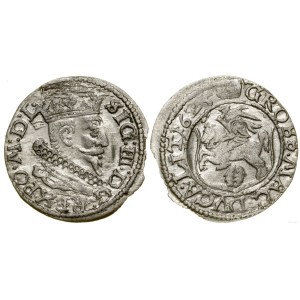 Polska, grosz, 1625, Wilno