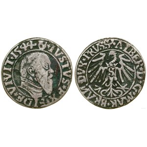 Duchy of Prussia (1525–1657), grosz, 1544, Königsberg