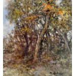 Augusto Radice, Forest landscape - Augusto Radice