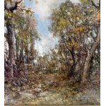 Augusto Radice, Forest landscape - Augusto Radice