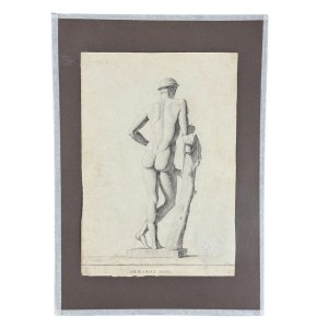 ANONIMO, Anatomie masculine
