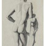 ANONIMO, Anatomie masculine