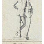 ANONIMO, Anatomie masculine
