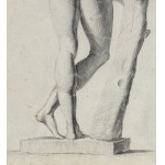 ANONIMO, Anatomie masculine