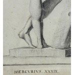 ANONIMO, Anatomie masculine