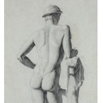 ANONIMO, Anatomie masculine