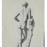 ANONIMO, Anatomie masculine
