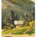 SIGNATURE NON IDENTIFIÉE, Paysage de montagne