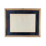 FIRMA NON IDENTIFICATA, Veduta di Capri