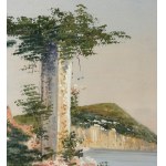 FIRMA NON IDENTIFICATA, Veduta di Capri