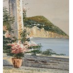 FIRMA NON IDENTIFICATA, Veduta di Capri