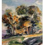 ANONIMO, Landscape