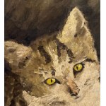 ANONIMO, kitten