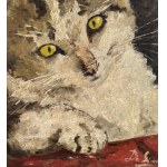 ANONIMO, kitten