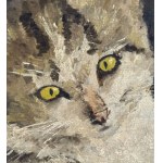 ANONIMO, kitten