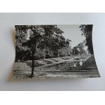 PHOTO OF RADZYŃ PODLASKI: A SECTION OF THE PARK, PHOTO BY MYSTKOWSKI KACZKOWSKI, STAMP