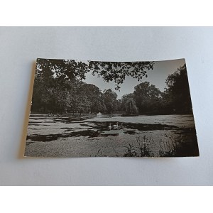 Volksrepublik Polen, Siedlice, Stadtpark, Foto: A. Funkiewicz, P. Mystkowski, 1953