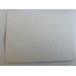 CARTE POSTALE « 100e ANNIVERSAIRE DE L'AUTOMOBILKLUB POLSKI 2009 » CACHET
