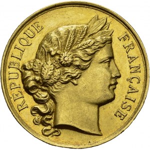 IIIe République, 1871-1940. Médaille en or 1885. 27,5 mm...