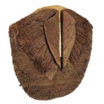 Magdalena Abakanowicz (1930, Falenty near Warsaw – 2017, Warsaw), Gorgerette, 1976/1977
