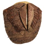 Magdalena Abakanowicz (1930, Falenty near Warsaw – 2017, Warsaw), Gorgerette, 1976/1977