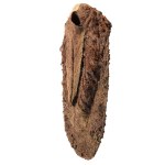 Magdalena Abakanowicz (1930, Falenty near Warsaw – 2017, Warsaw), Gorgerette, 1976/1977