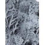 Marcin Rusak (né en 1987 à Varsovie), Tephra Sculpture 04