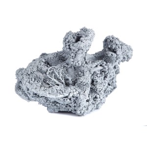 Marcin Rusak (né en 1987 à Varsovie), Tephra Sculpture 04