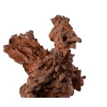 Ludwik Lille (1897, Podwłoczyska on the Zbrucz River – 1957, Paris), Rooster