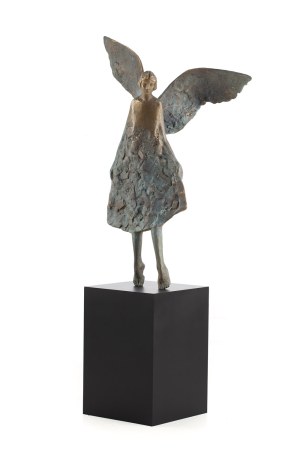 Joanna Zakrzewska-Cholewa (ur. 1976, Rzeszów), 