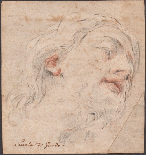 Guido Reni (scuola di) (Bologna , 1575 - 1642), Study for a Male Head