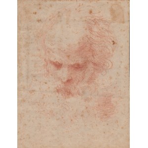 Study for a Male Head 17th-century Bolognese artist