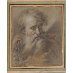 Study for a male head 18th-century Central Italian artist