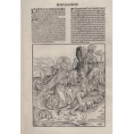 Albrecht Dürer (attribuited to) (Norimberga, 1471 - 1528), Creation of Eve, from Liber Chronicarum
