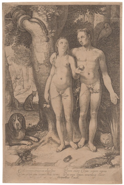 Jan Saenredam (copy after) (Zaandam , 1565 - Assendelft , 1607), Adam and Eve