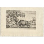 Stefano della Bella (Firenze, 1610 - 1664), Hunts of Various Animals