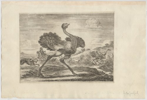 Stefano della Bella (Firenze, 1610 - 1664), Hunts of Various Animals