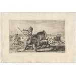 Stefano della Bella (Firenze, 1610 - 1664), Hunts of Various Animals