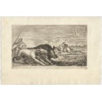 Stefano della Bella (Firenze, 1610 - 1664), Hunts of Various Animals