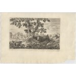 Stefano della Bella (Firenze, 1610 - 1664), Hunts of Various Animals