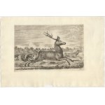 Stefano della Bella (Firenze, 1610 - 1664), Hunts of Various Animals